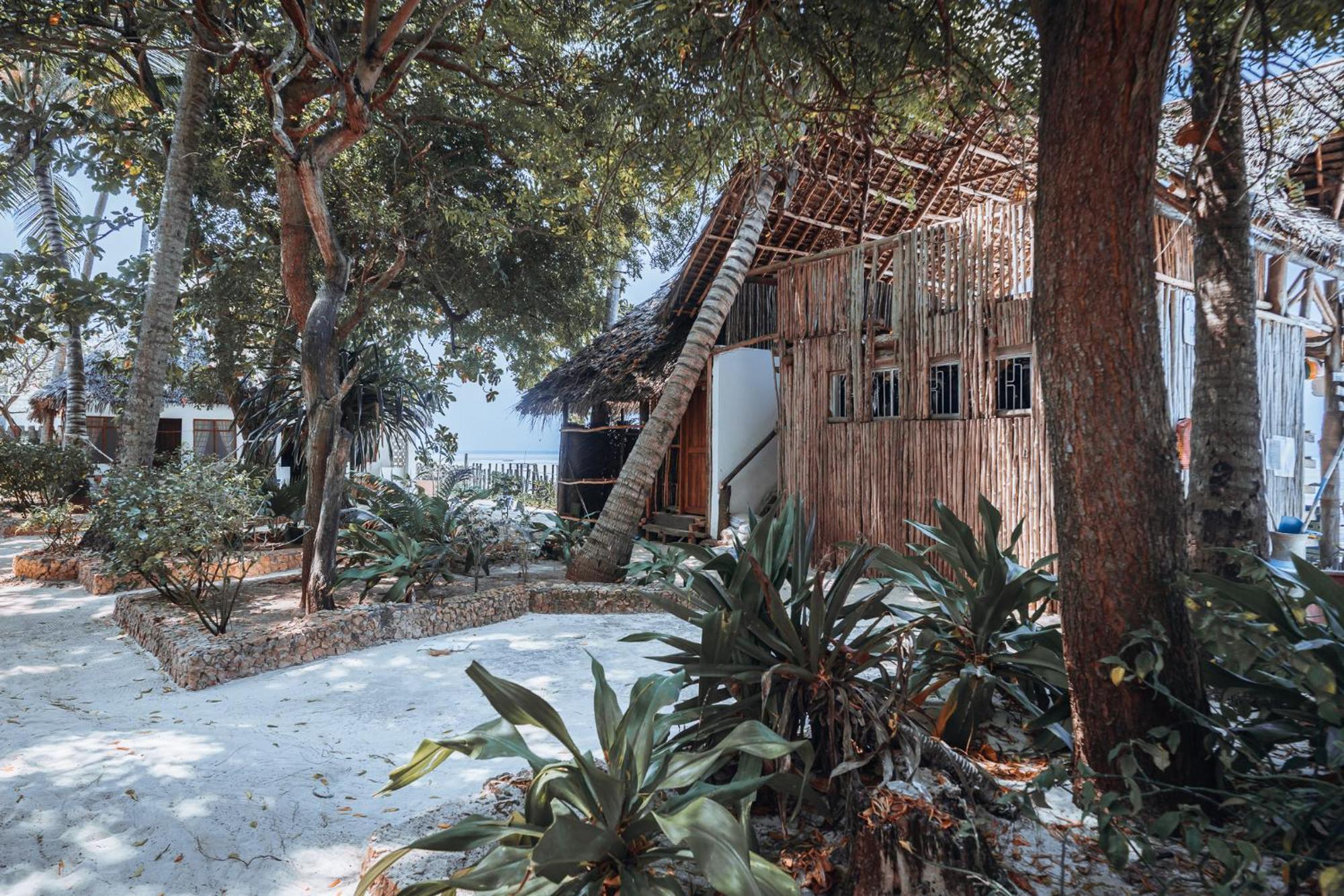 Pili Pili Beach Bungalows Jambiani  Exterior photo